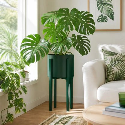 Forest Green Plant Stand - View 3